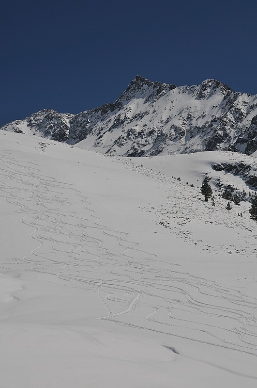 DSC_0145.JPG