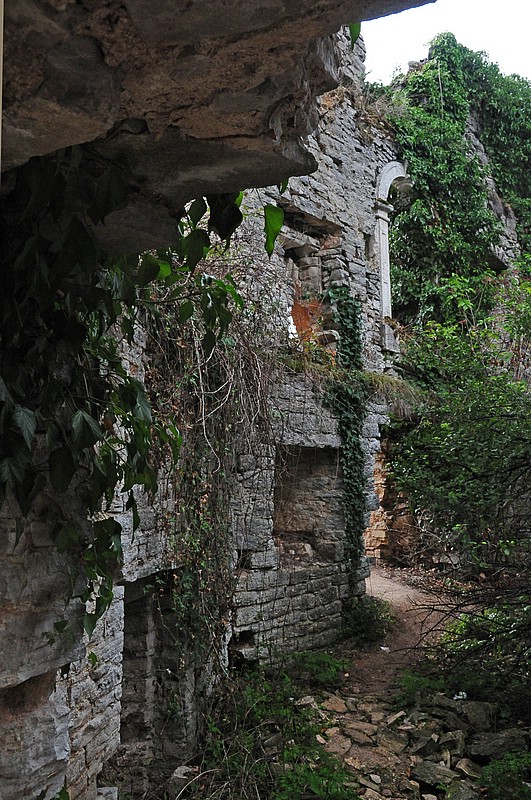 DSC_5529DG.jpg