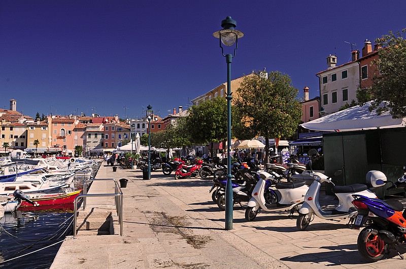 DSC_5638DFG.jpg