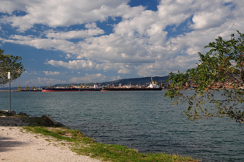 DSC_5722.JPG