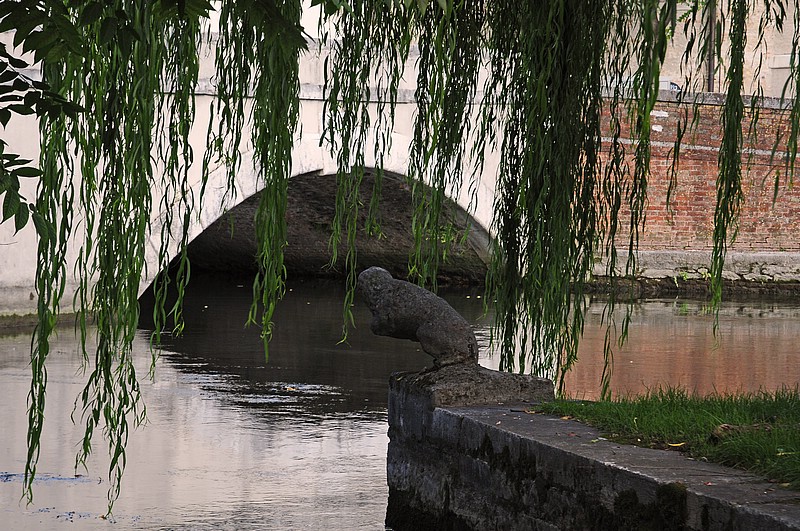 DSC_5846FG.jpg