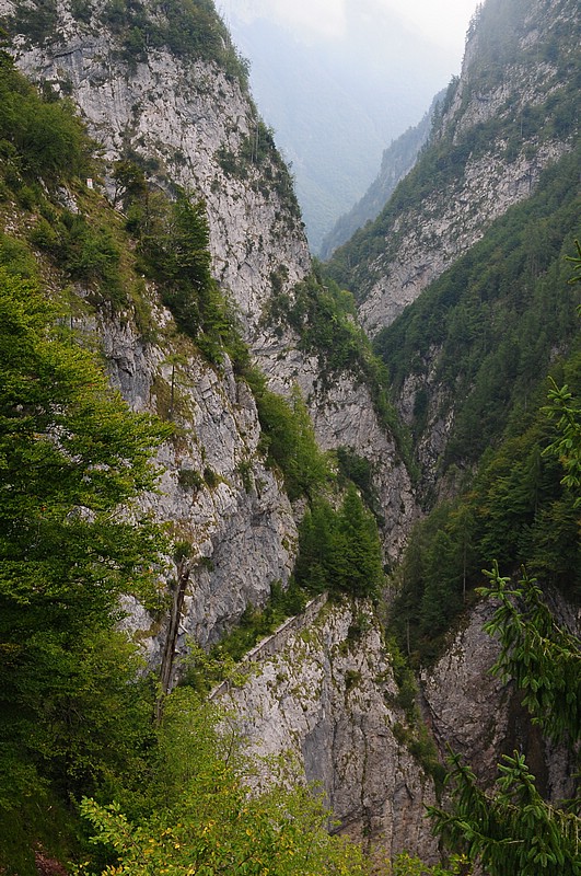 DSC_5987.JPG