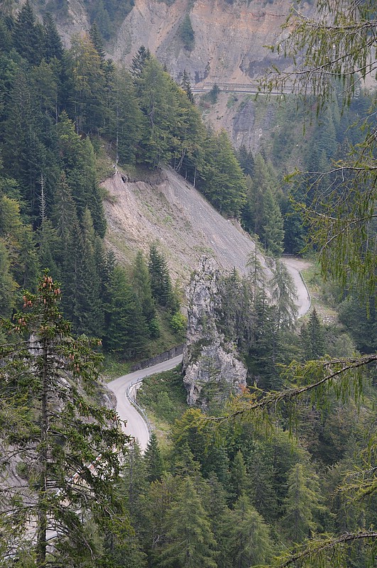 DSC_6011.JPG