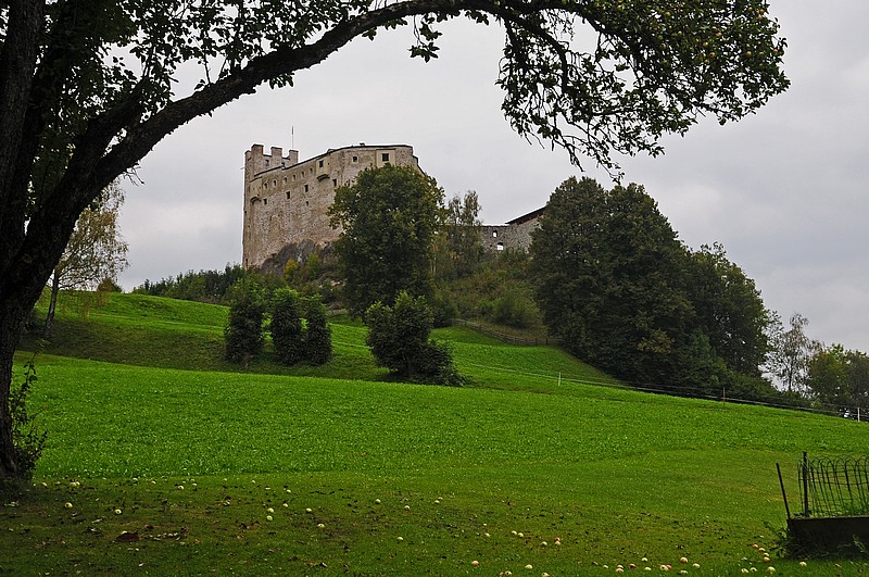 DSC_6047DG.jpg