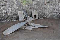 DSC_5228.JPG