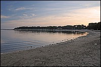 DSC_5398DFG.jpg