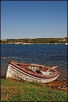 DSC_5590G.jpg