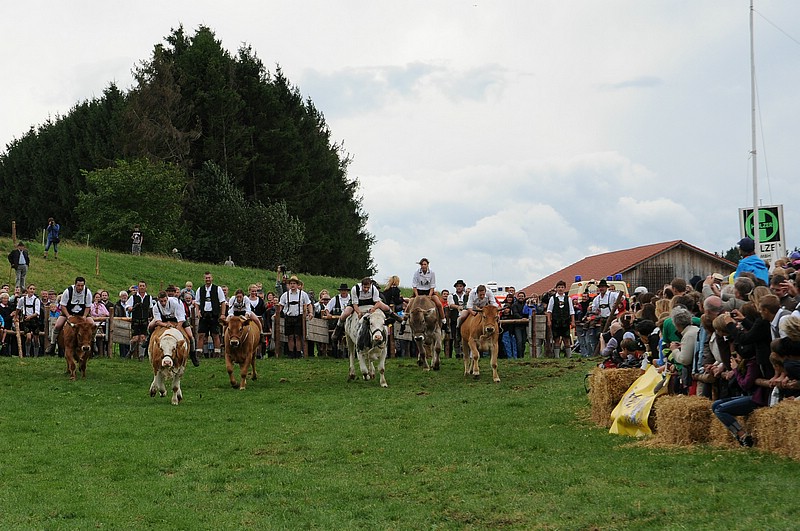DSC_3946C.jpg