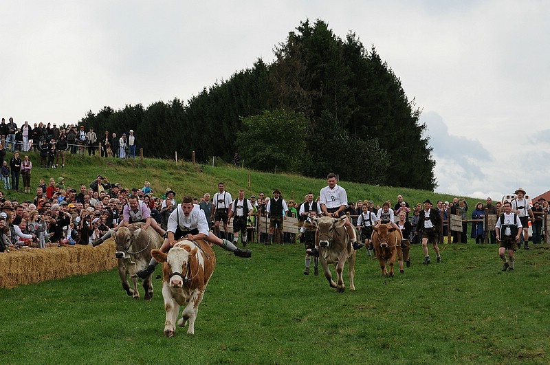 DSC_4072C.jpg