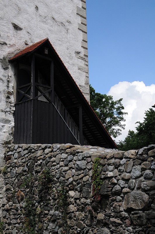 DSC_3142DC.jpg