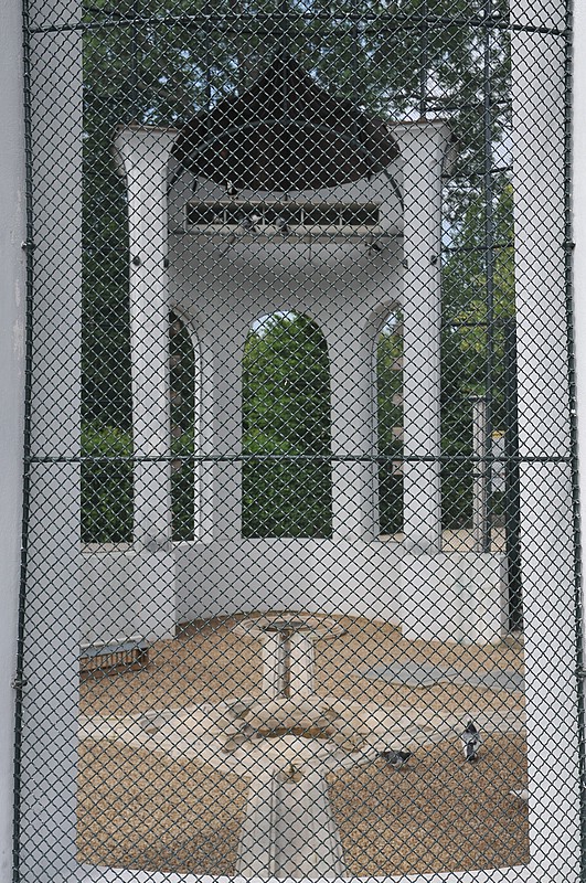 DSC_0815.JPG