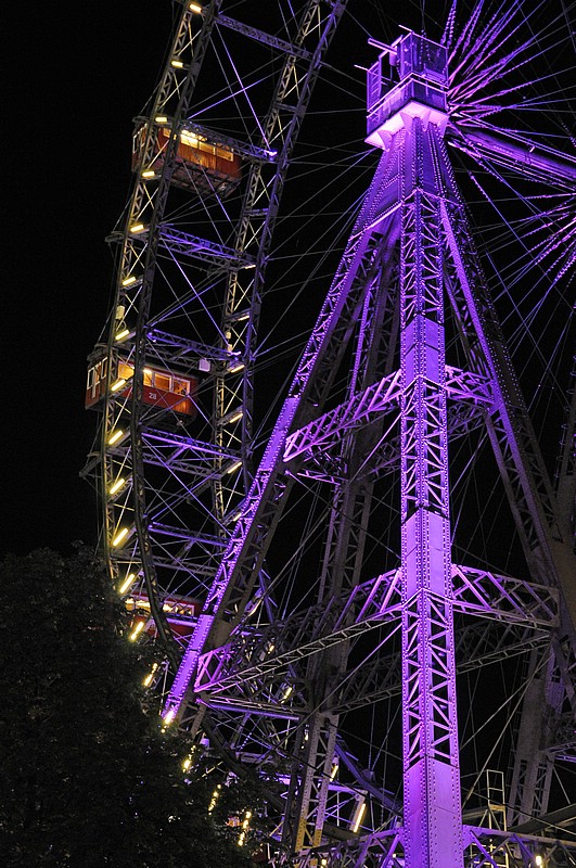DSC_2673G.jpg