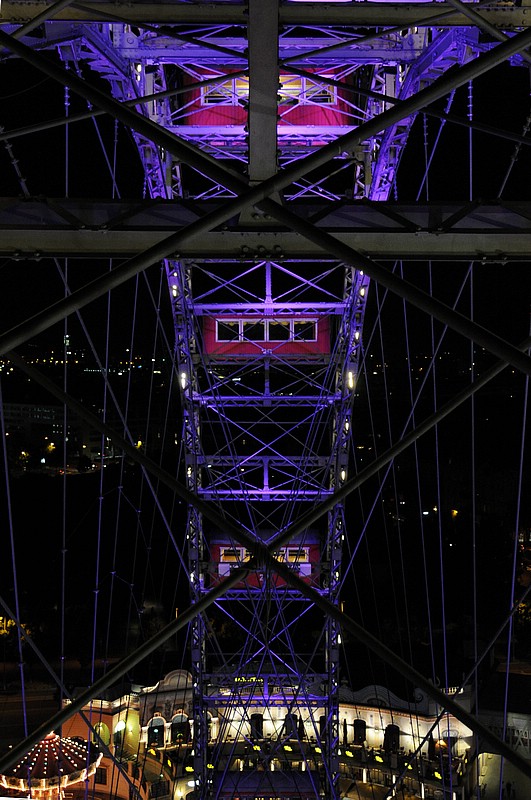 DSC_2697CD.jpg