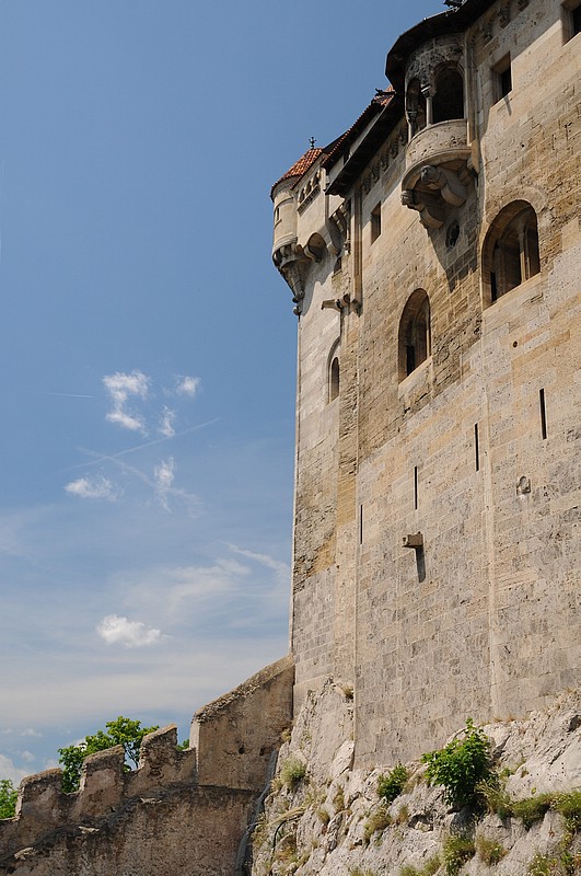 DSC_2782D.jpg