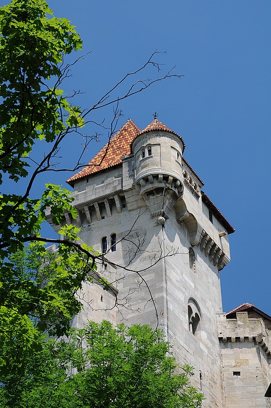 DSC_2798.JPG