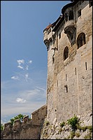 DSC_2782D.jpg