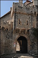 DSC_2789G.jpg