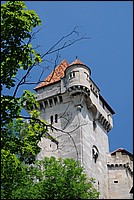 DSC_2798.JPG