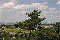 DSC_2806.JPG