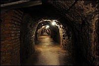 DSC_2914.JPG
