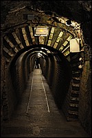 DSC_2915.JPG