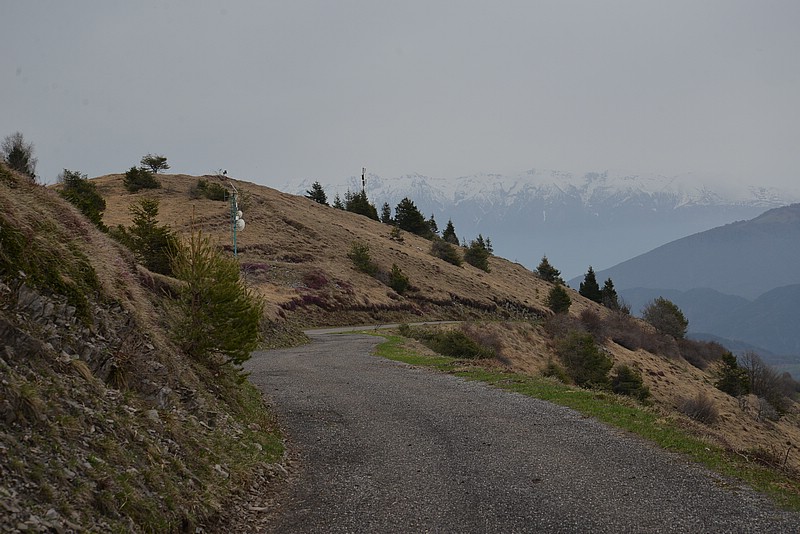 DSC_5181.JPG