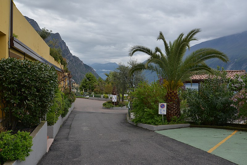 DSC_5291.JPG