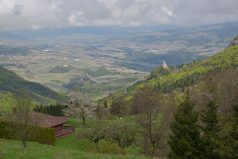 DSC_5297.JPG
