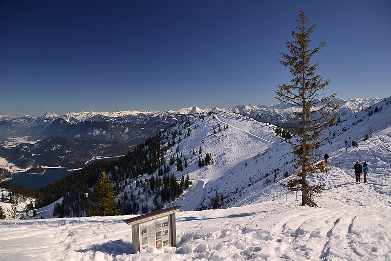 DSC_0252Co.jpg