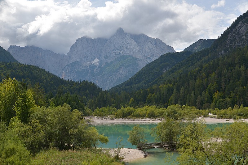 DSC_7875.JPG