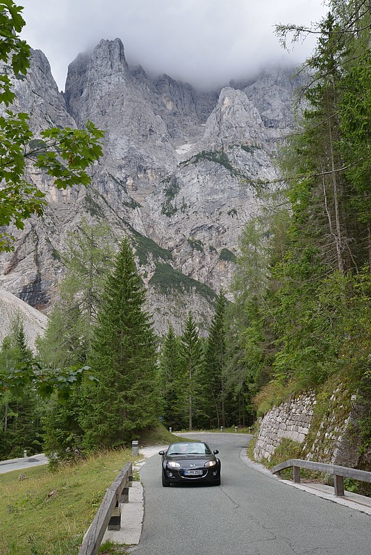 DSC_7914.JPG