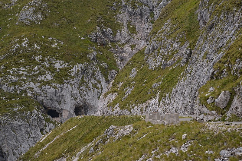 DSC_8005.JPG