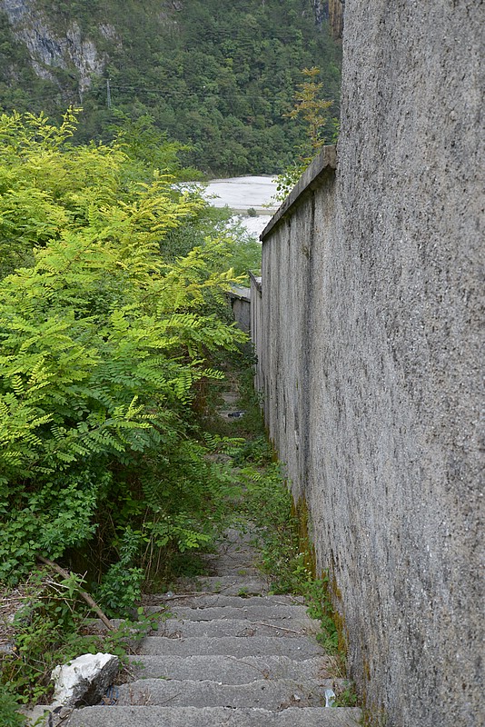 DSC_8119.JPG