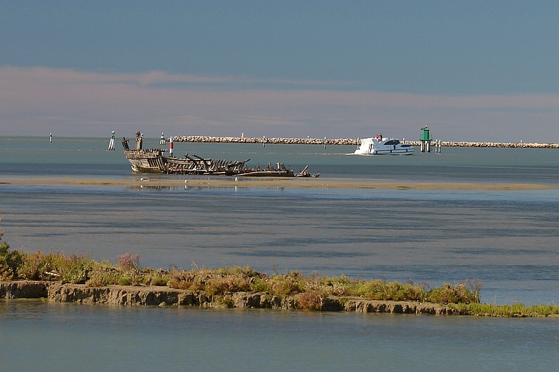 DSC_8216C.jpg