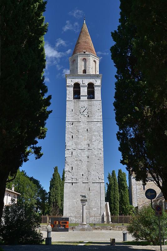 DSC_8380D.jpg