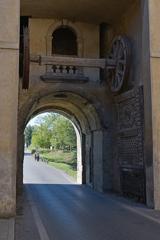 DSC_8488DG.jpg