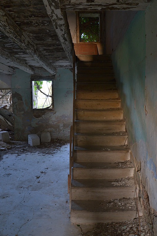 DSC_8515.JPG