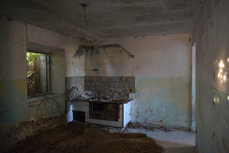 DSC_8518.JPG