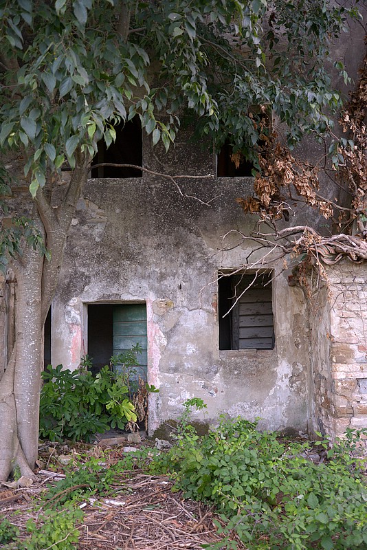 DSC_8529FCo.jpg