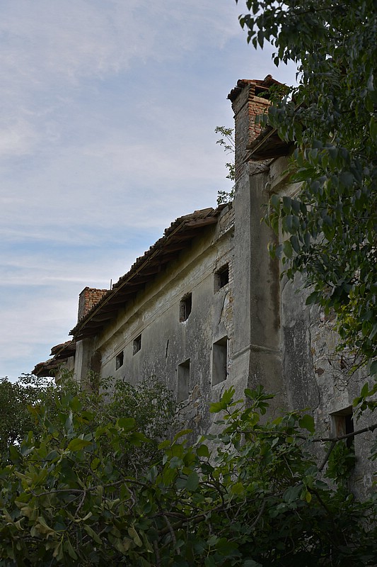 DSC_8530DFG.jpg