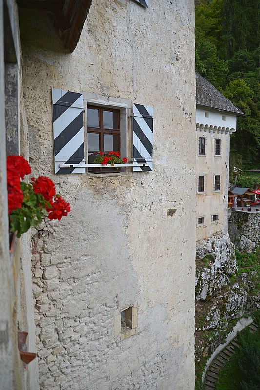 DSC_8624DG.jpg