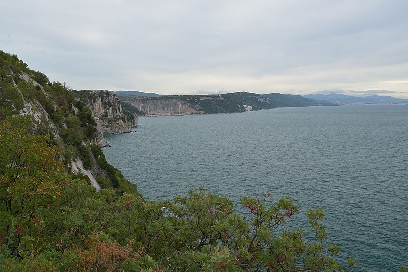 DSC_8690.JPG