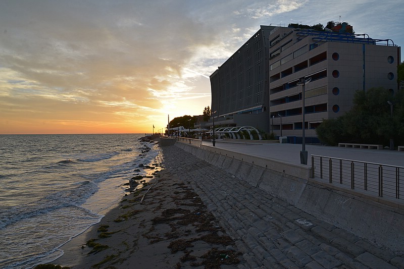DSC_9132DG.jpg