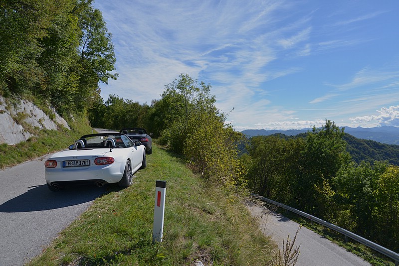 DSC_9165B.jpg
