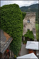 DSC_7680D.jpg