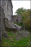 DSC_7682.JPG