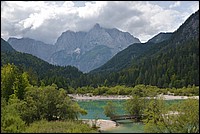 DSC_7875.JPG