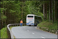 DSC_7910.JPG