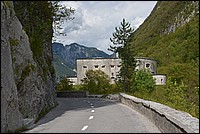 DSC_7936.JPG