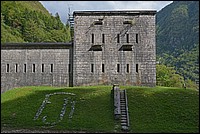DSC_7947D.jpg